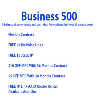 Business 500