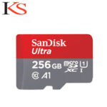 SanDisk 256GB microSDXC UHS-I Memory Card